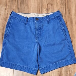 Abercrombie & Fitch Men's Royal Blue Flat Front Shorts 30